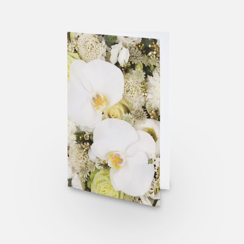 Card – White Orkidee